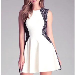 Bebe Lace Fit & Flare Dress